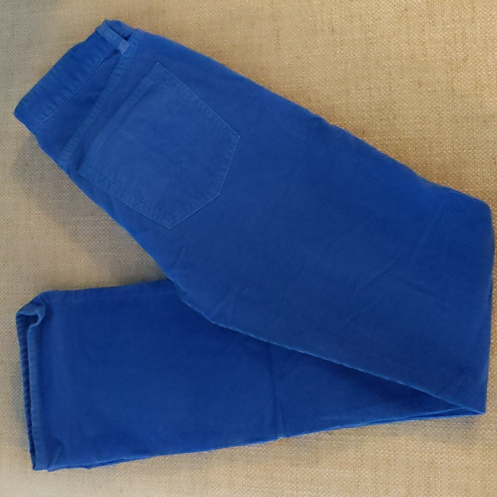 Royal blue J Crew Favorite fit cords 25R